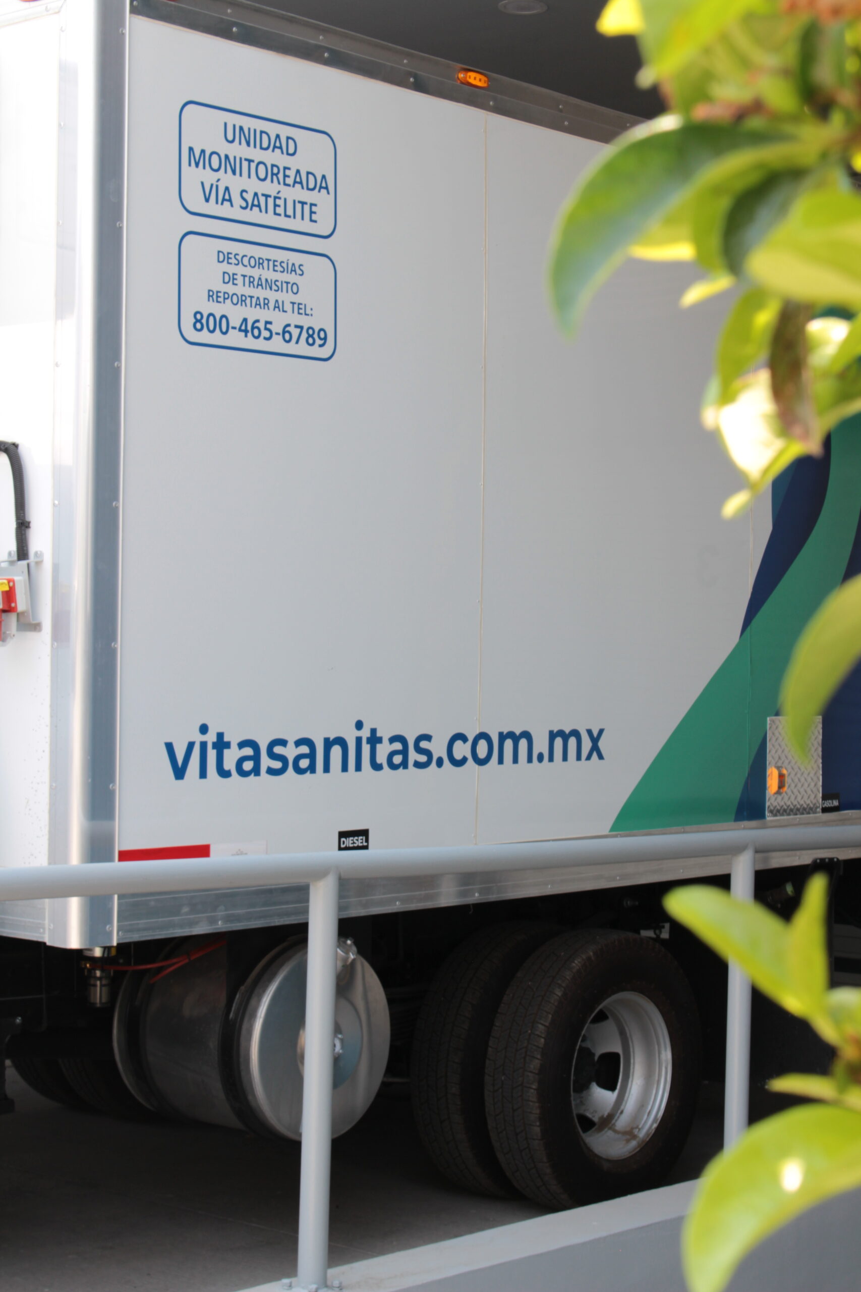 VITASANITAS VERTICAL 1